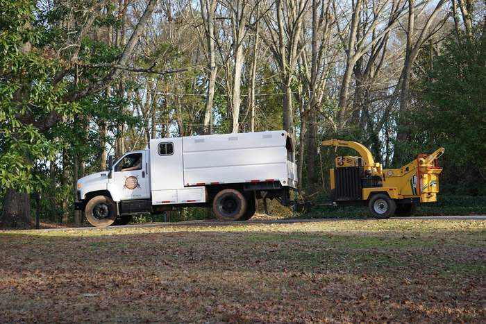 Stump Grinding by Mullinax Tree Service