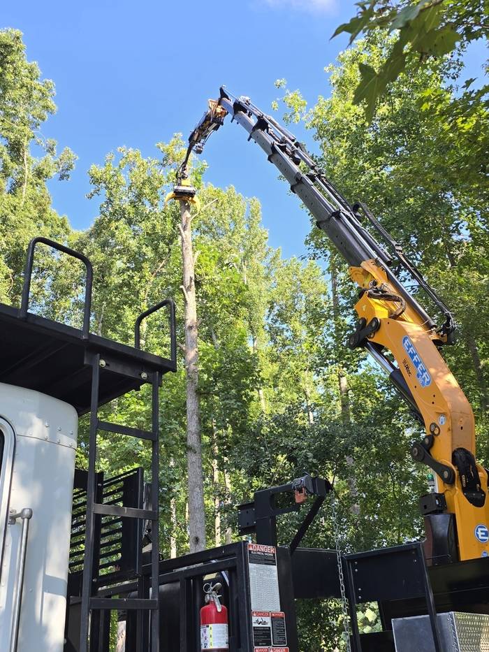 The grapple saw truck reaching into a tree