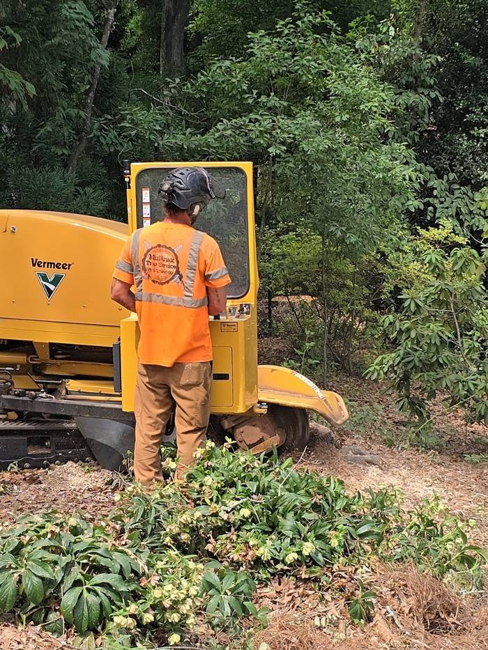 The stump grinder on a job