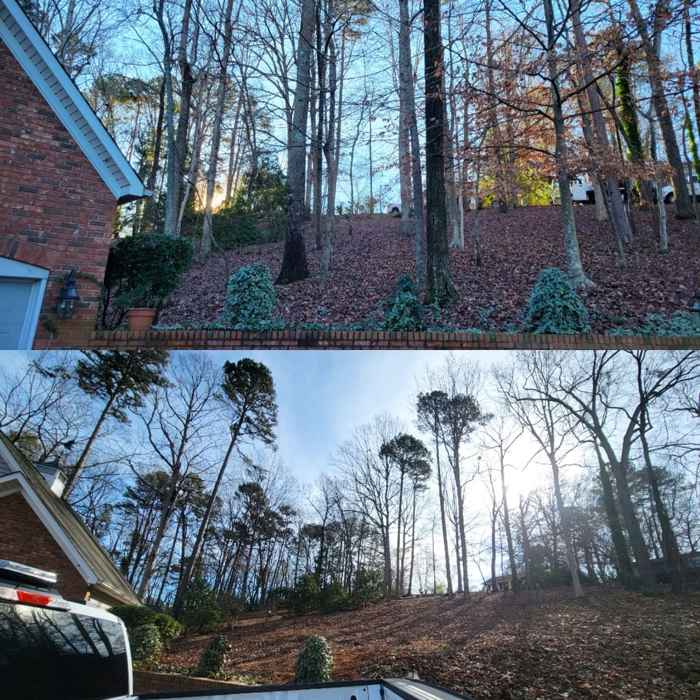 Before and after, lot clearing