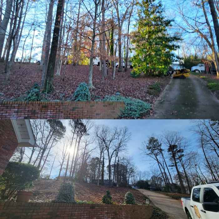 Before and after, lot clearing