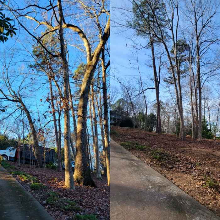 Before and after, lot clearing