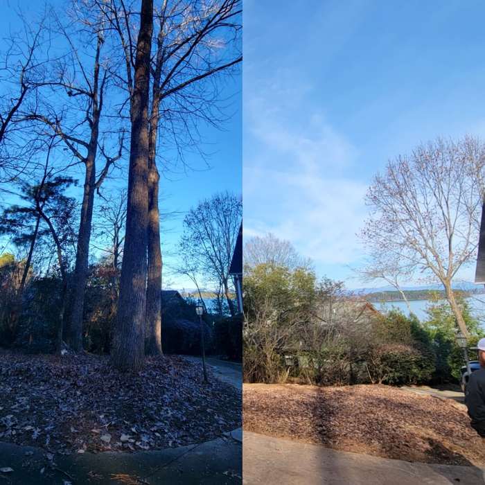 Before and after, lot clearing