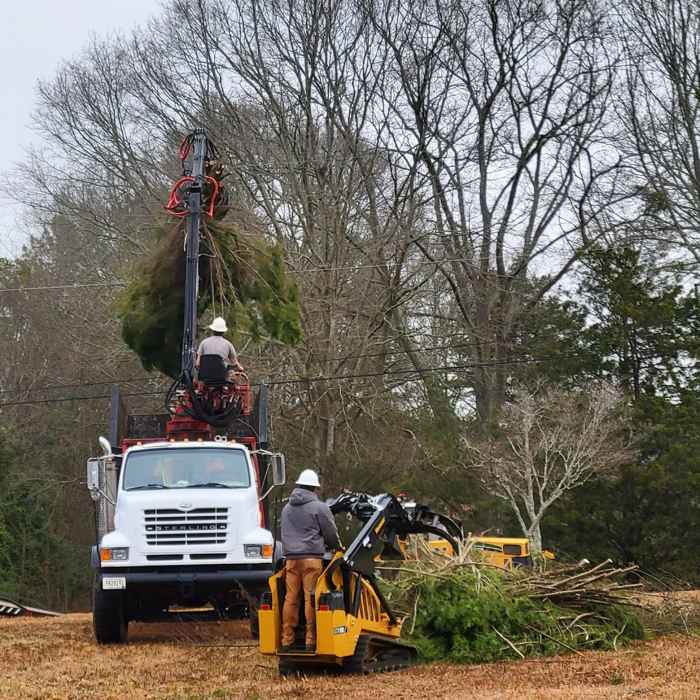 Mullinax Tree Service at work