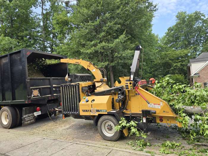 Debris Removal and Wood Chips