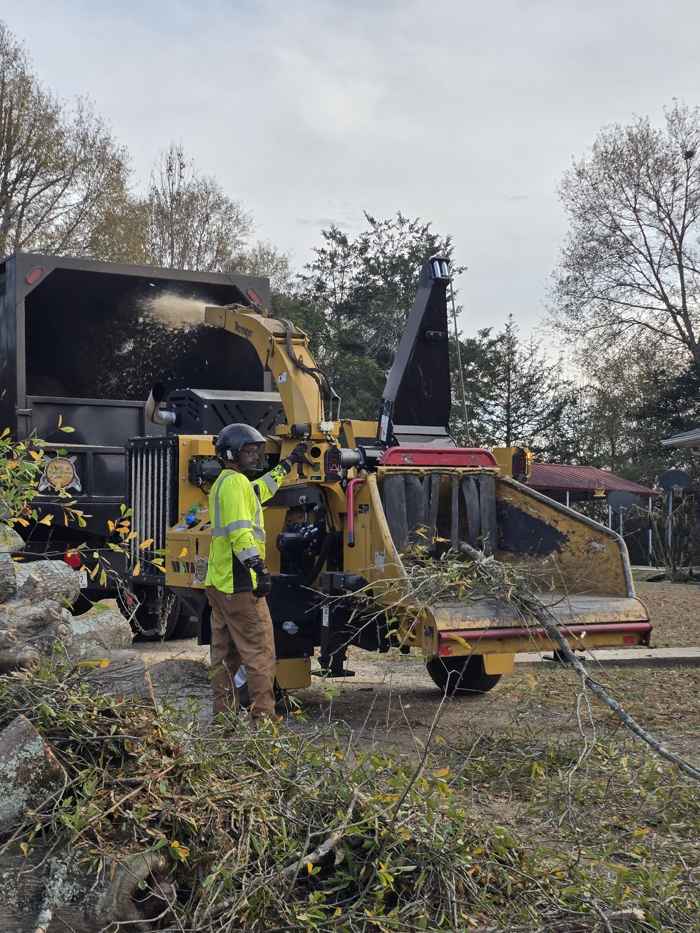Mullinax Tree Service at work