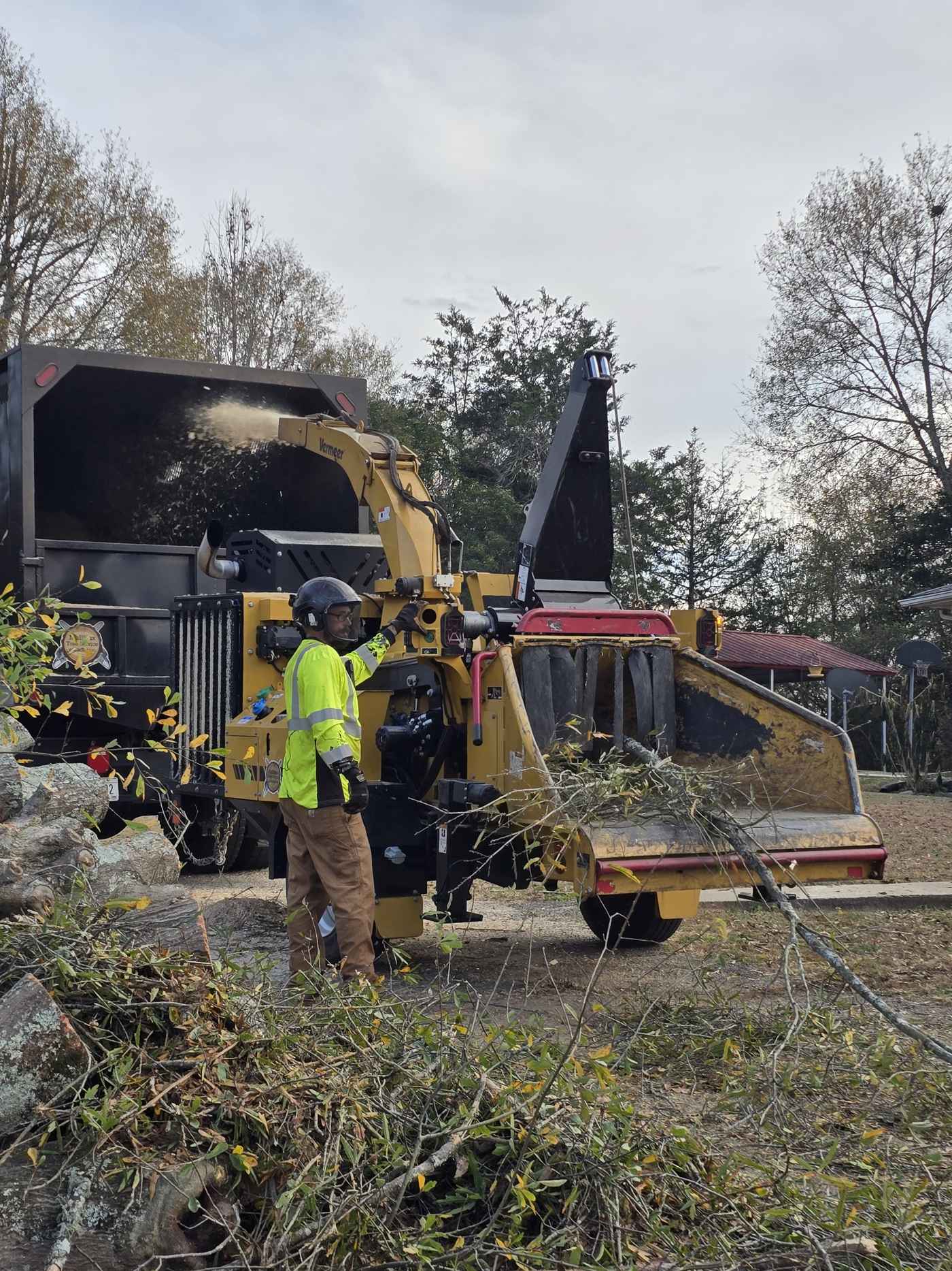 Mullinax Tree Service working in Norris, SC