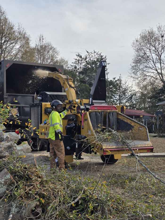 Mullinax Tree Service at work