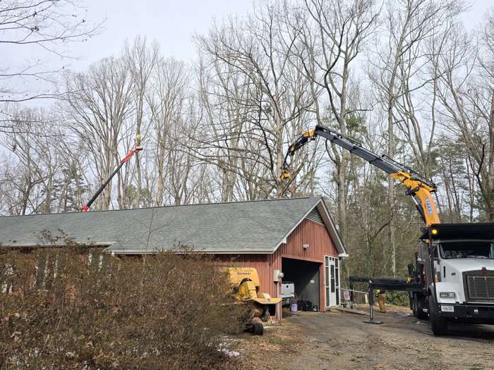 Mullinax Tree Service at work