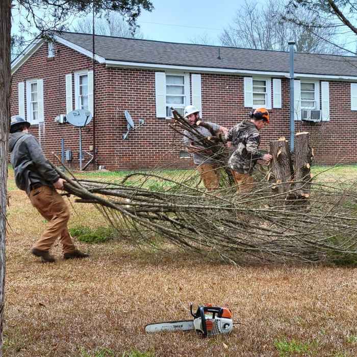 Emergency Storm Response by Mullinax Tree Service