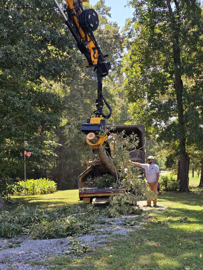 Mullinax Tree Service at work