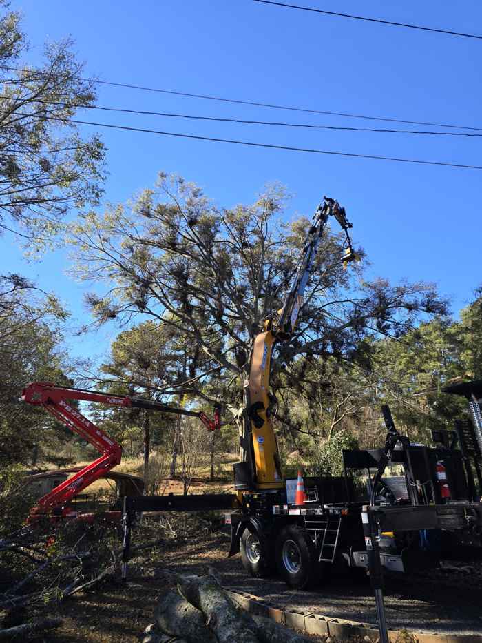 Mullinax Tree Service at work