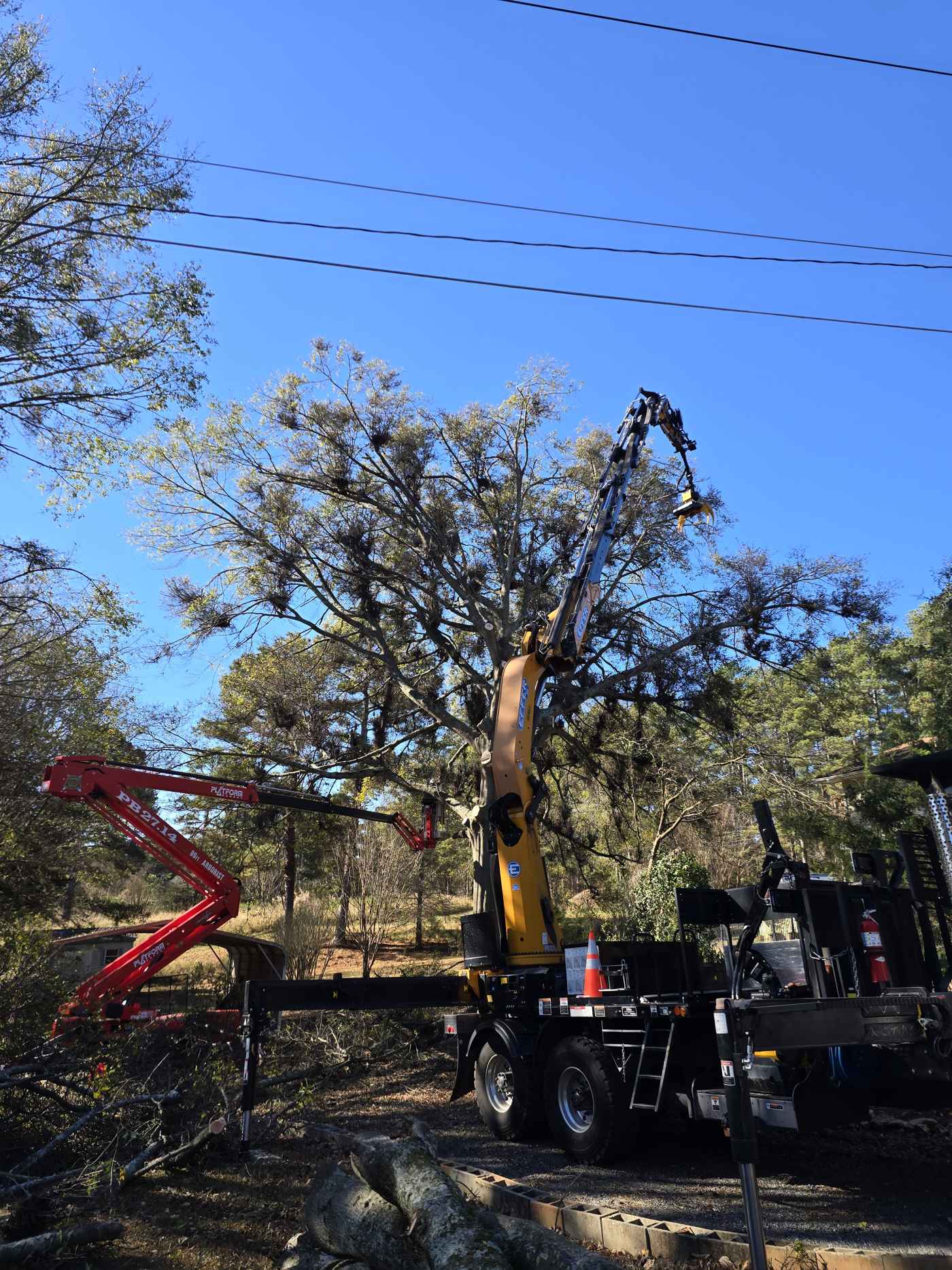 Mullinax Tree Service working in Walhalla, SC