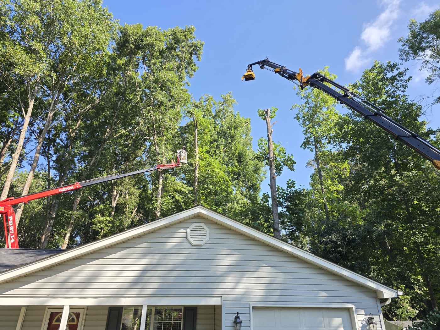 Mullinax Tree Service working in Clemson, SC