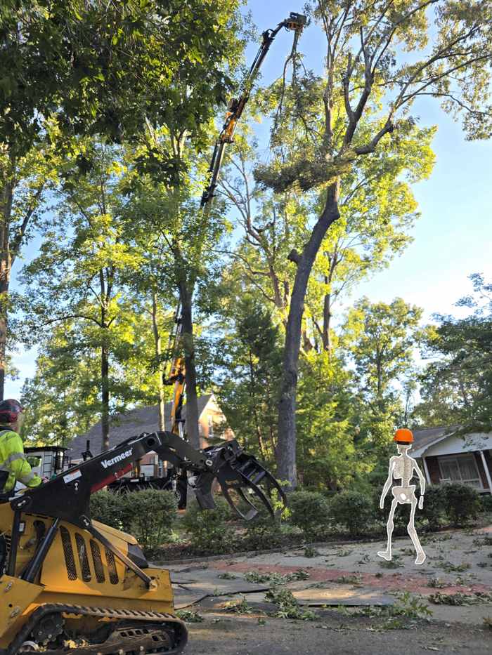 Mullinax Tree Service at work