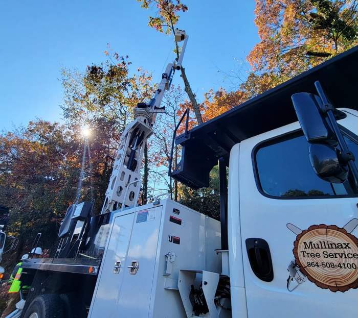 Mullinax Tree Service at work