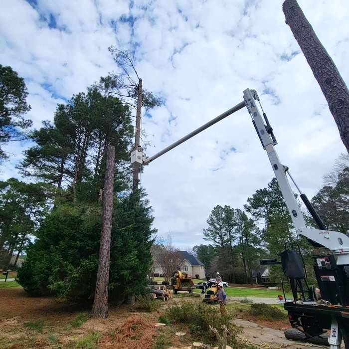 Emergency Storm Response by Mullinax Tree Service