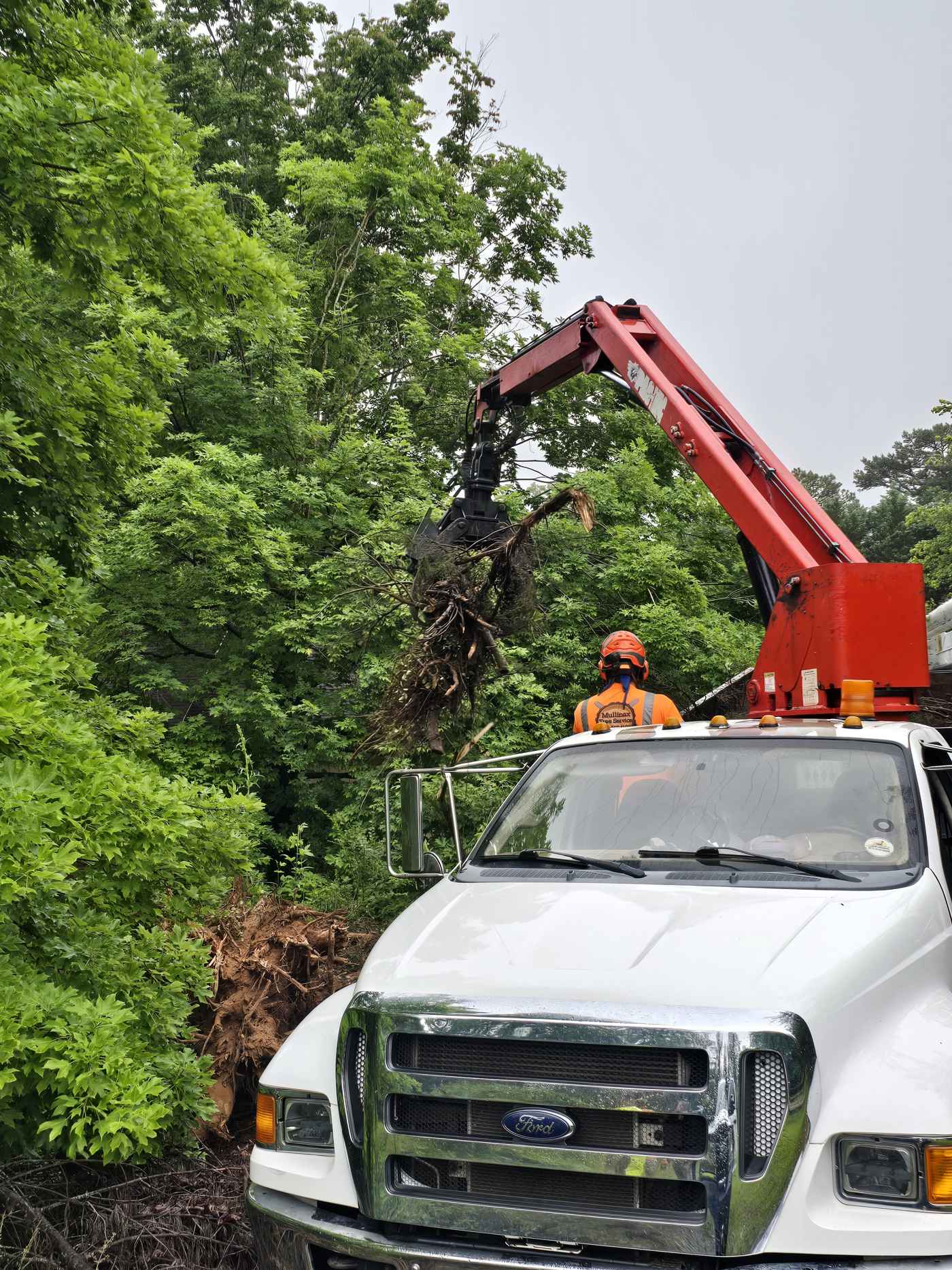 Mullinax Tree Service working in Anderson, SC
