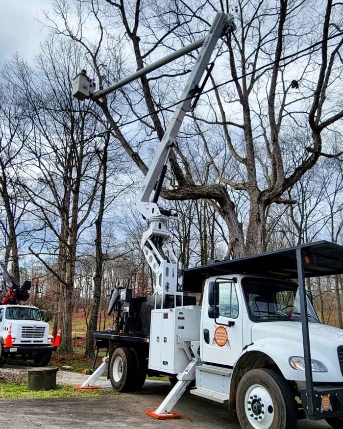 Tree Removal by Mullinax Tree Service