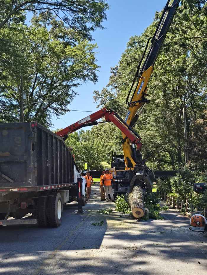 Mullinax Tree Service at work