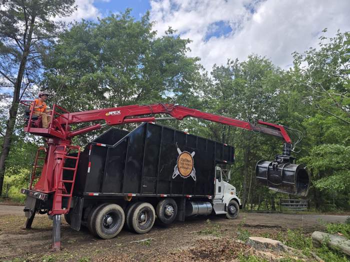 Mullinax Tree Service at work