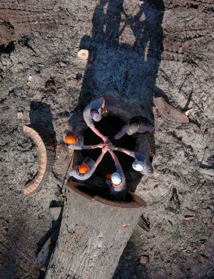 Mullinax Tree Service at work