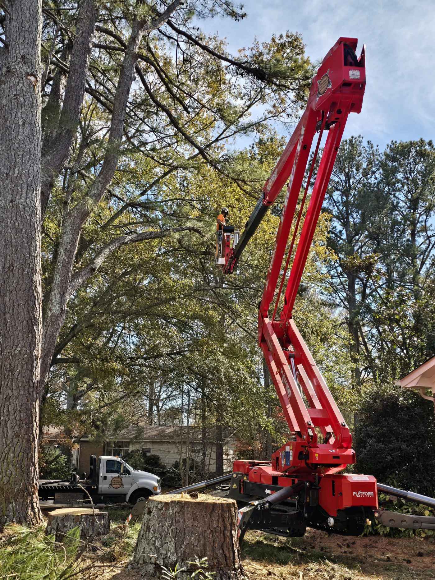 Tree Removal in Central, SC and the Upstate