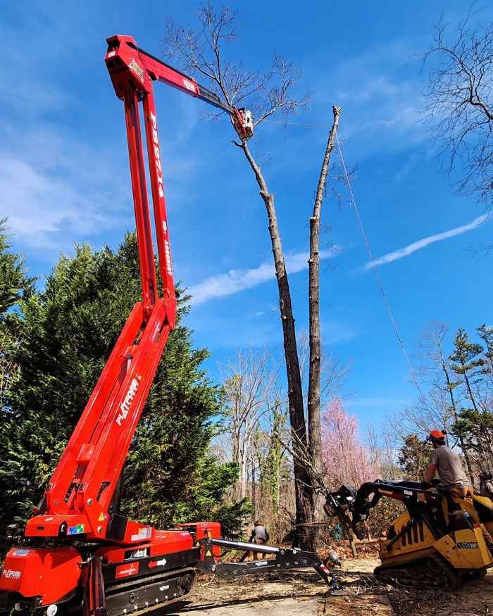 Mullinax Tree Service at work