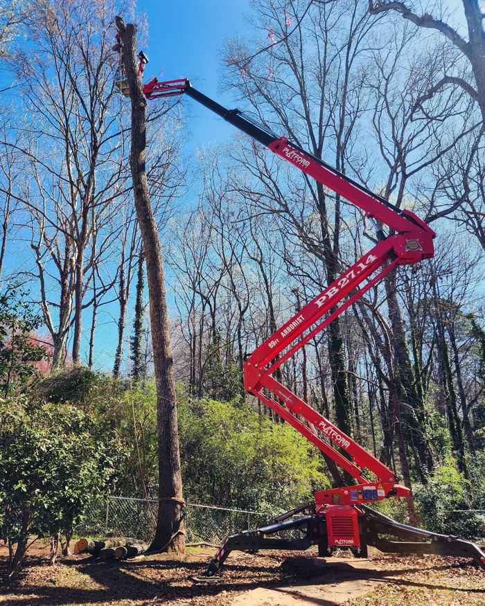 Mullinax Tree Service at work