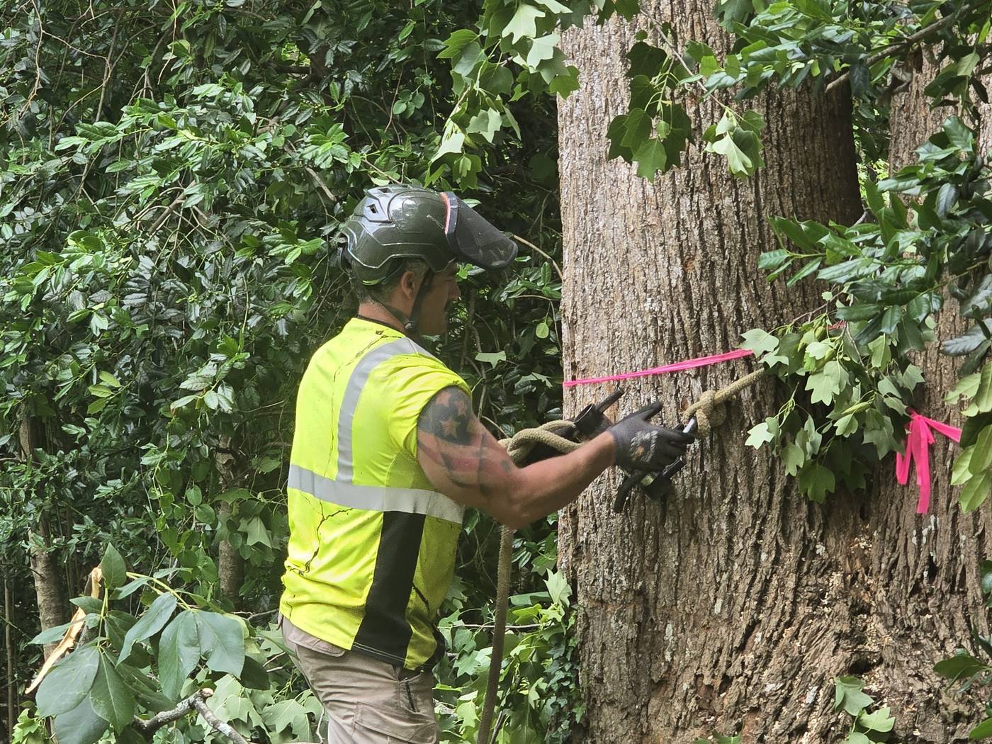 Mullinax Tree Service working in Pendleton, SC