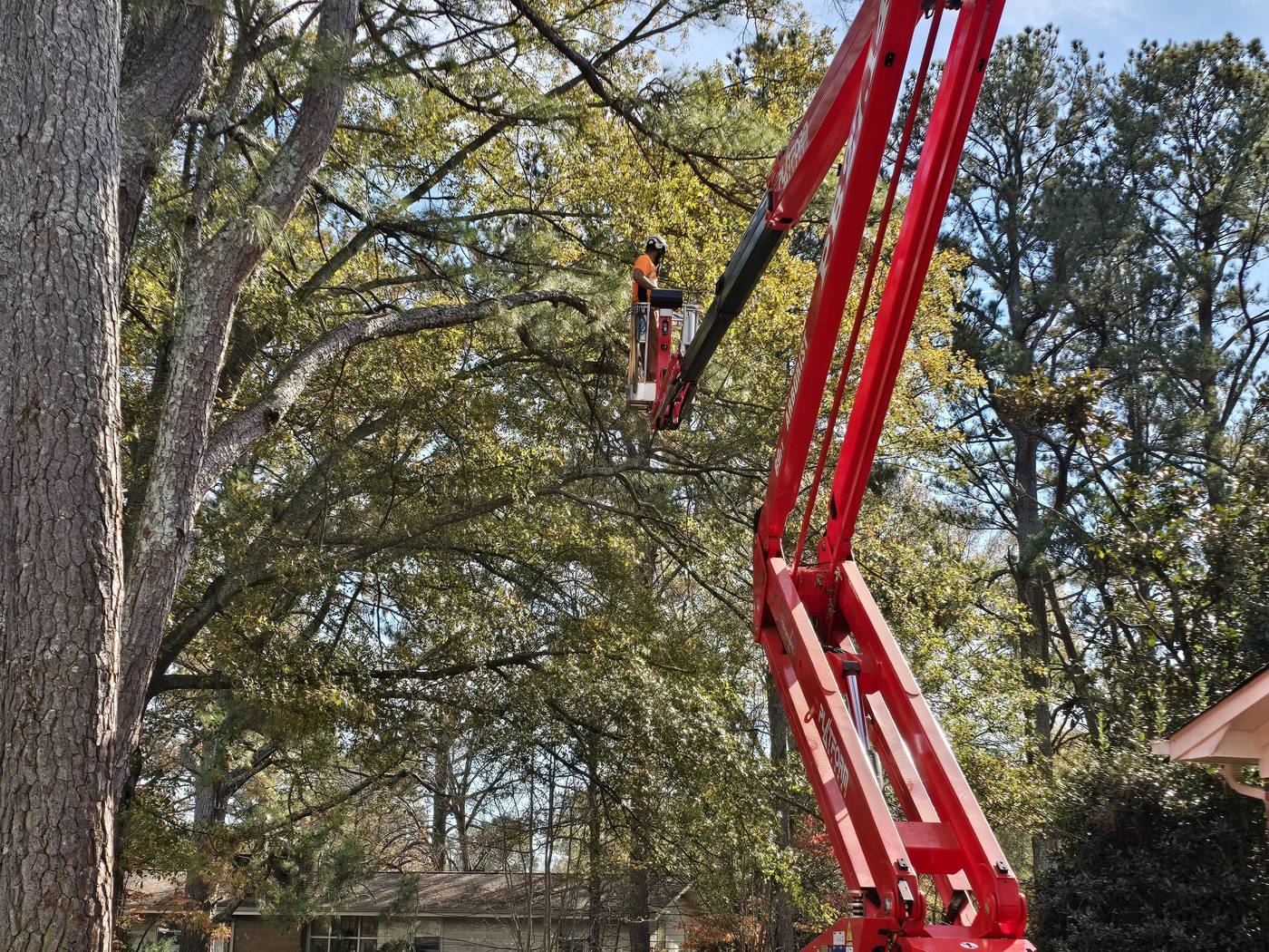Mullinax Tree Service working in Easley, SC
