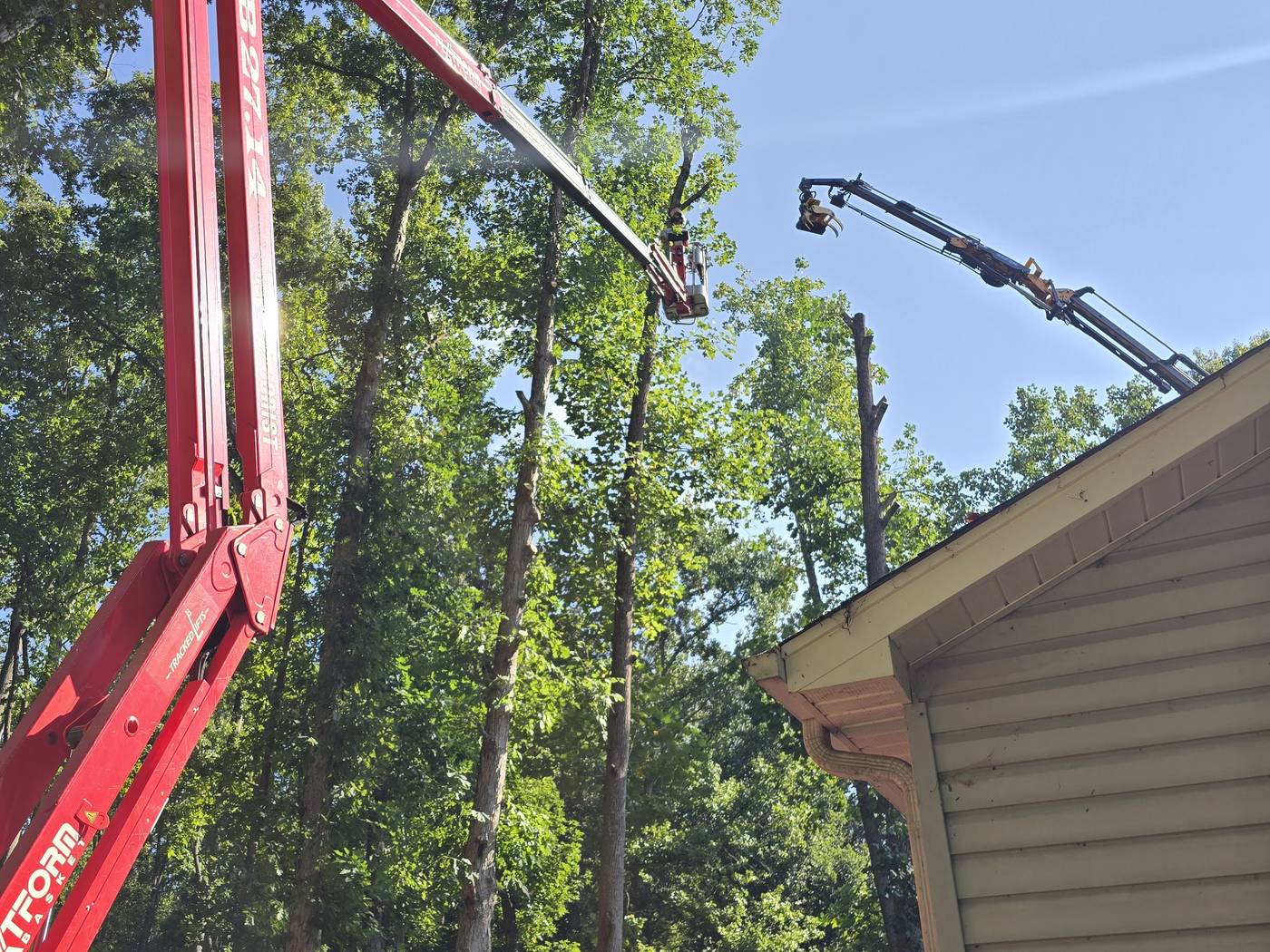 Mullinax Tree Service working in Six Mile, SC