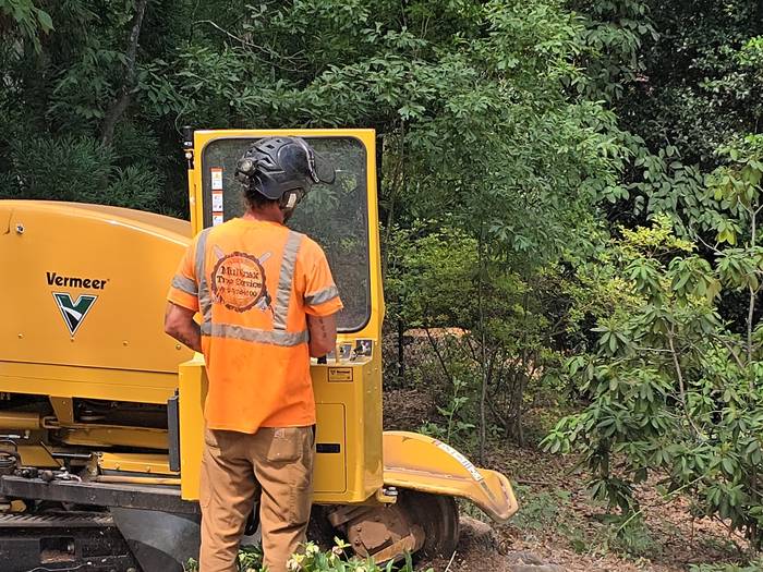 Stump Grinding