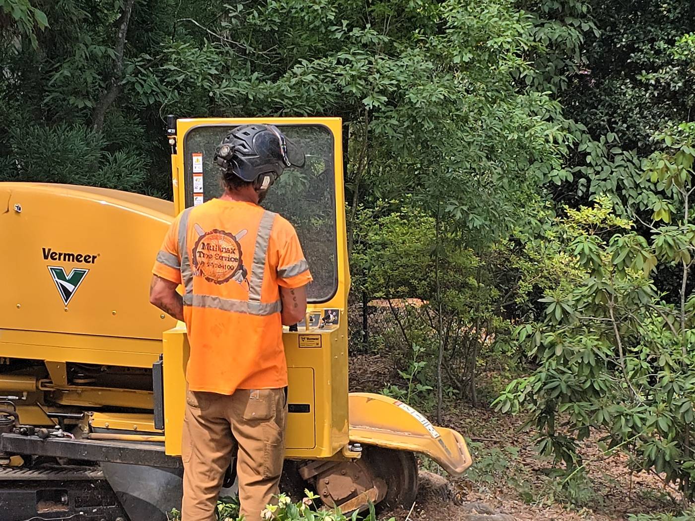 Stump Grinding in Central, SC and the Upstate
