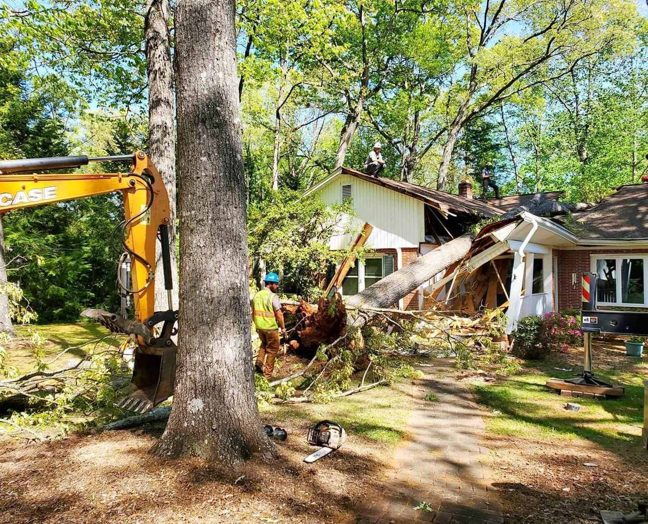 If a tree is on your house